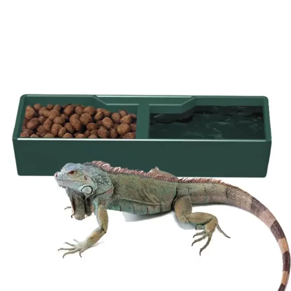Reptile Bowl Dish